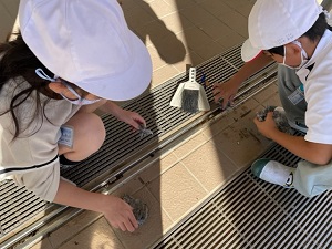 IMG_5365 IMG_5365