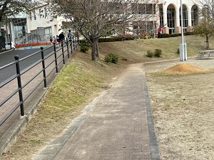 IMG_5374 IMG_5374