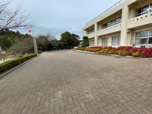 IMG_5376 IMG_5376