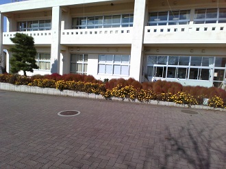 unnamed (4)