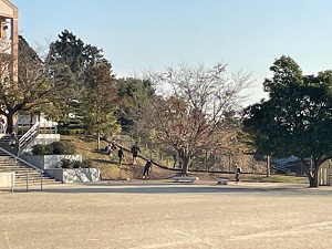 IMG_5537