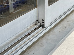 IMG_6638 IMG_6638