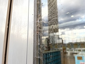 IMG_6640 IMG_6640