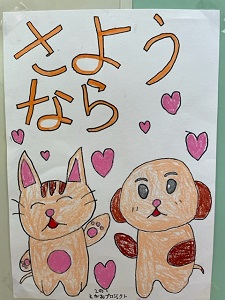 IMG_6631 IMG_6631
