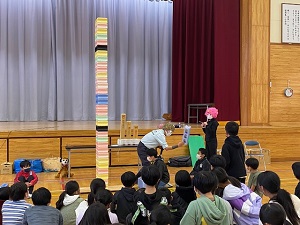 IMG_5331 IMG_5331