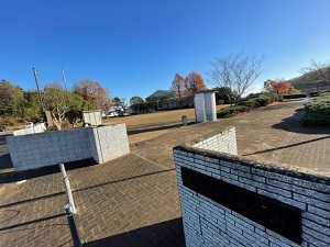 IMG_6672 IMG_6672