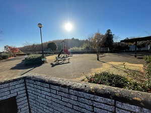IMG_6673 IMG_6673