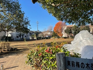 IMG_6674 IMG_6674