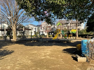 IMG_6675 IMG_6675
