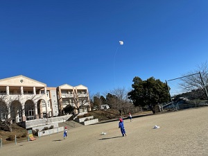 IMG_6931 IMG_6931
