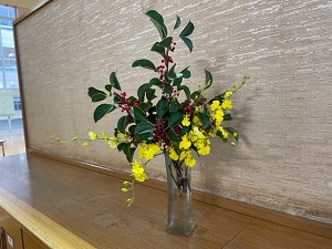 IMG_7086 IMG_7086