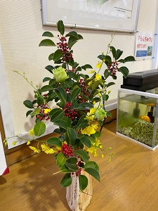 IMG_7087 IMG_7087