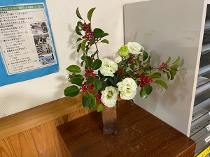 IMG_7088 IMG_7088
