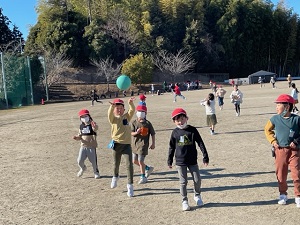 IMG_7185 IMG_7185