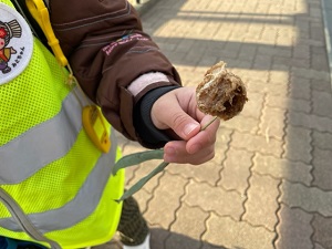IMG_7205 IMG_7205