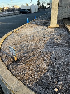 IMG_7261 IMG_7261