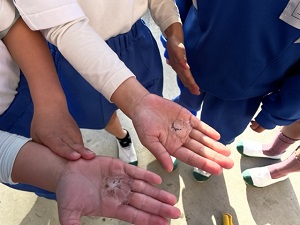 IMG_7264 IMG_7264