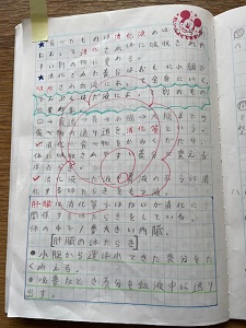 IMG_7278 IMG_7278