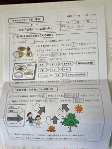IMG_7297 IMG_7297