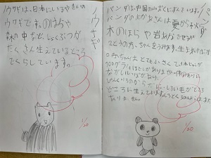 IMG_7417 IMG_7417