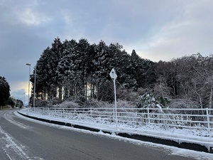 IMG_7485 IMG_7485