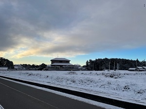 IMG_7486 IMG_7486