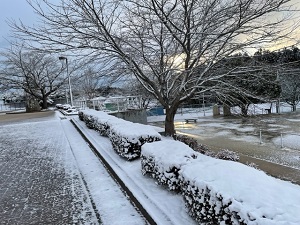IMG_7490 IMG_7490