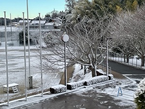 IMG_7491 IMG_7491