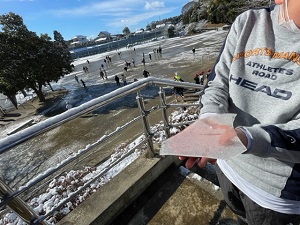 IMG_7510 IMG_7510