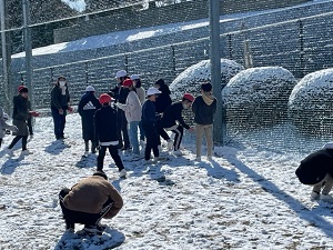 IMG_7515 IMG_7515