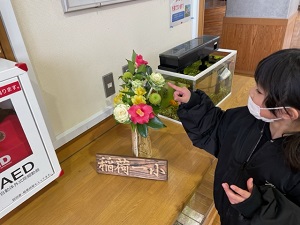 IMG_7554 IMG_7554