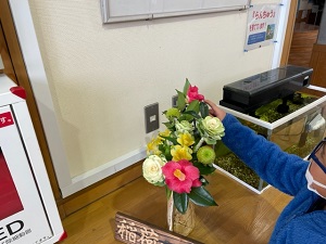 IMG_7555 IMG_7555