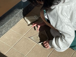 IMG_7619 IMG_7619