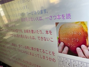 IMG_7624 IMG_7624
