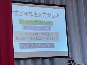 IMG_7782 IMG_7782