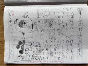 IMG_7891 IMG_7891