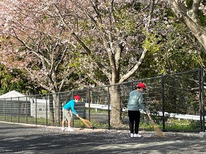IMG_2096 IMG_2096