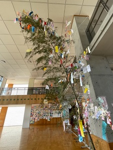 IMG_3348 IMG_3348