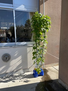 IMG_3866 IMG_3866
