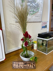 IMG_4801 IMG_4801