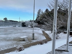 IMG_7489 IMG_7489