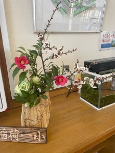IMG_8030 IMG_8030