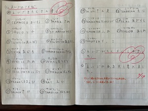 IMG_8035 IMG_8035