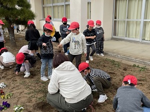 IMG_8060 IMG_8060