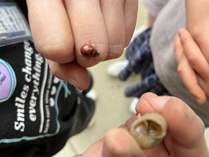 IMG_8061 IMG_8061