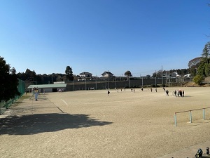 IMG_8462
