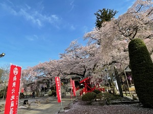 IMG_8581
