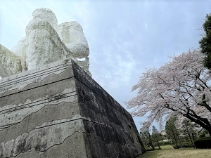IMG_8594