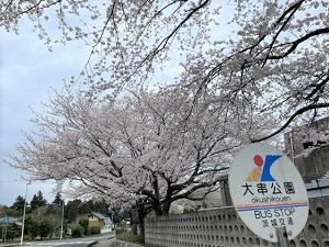 IMG_8599