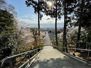IMG_8602